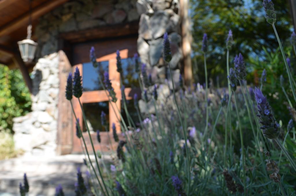 Lares De Chacras Otel Chacras de Coria Dış mekan fotoğraf